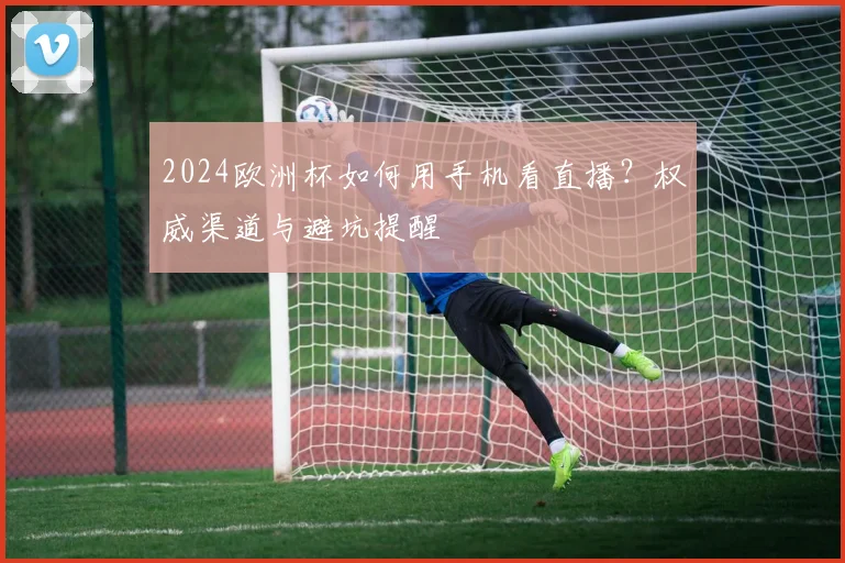 2024欧洲杯如何用手机看直播？权威渠道与避坑提醒