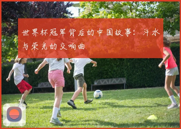 世界杯冠军背后的中国故事:汗水与荣光的交响曲