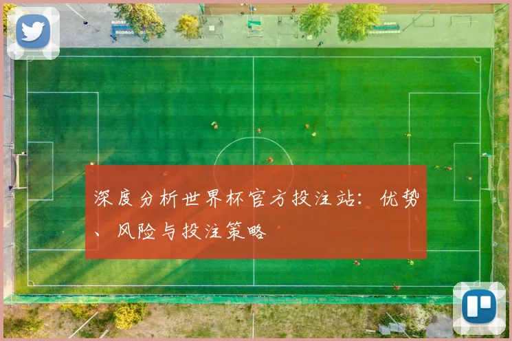 深度分析世界杯官方投注站：优势、风险与投注策略