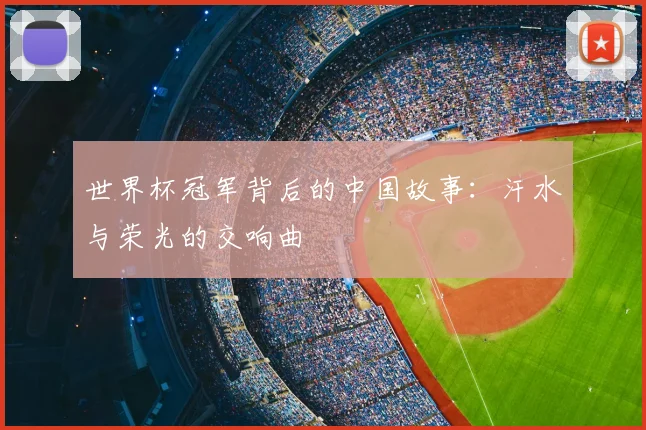 世界杯冠军背后的中国故事:汗水与荣光的交响曲