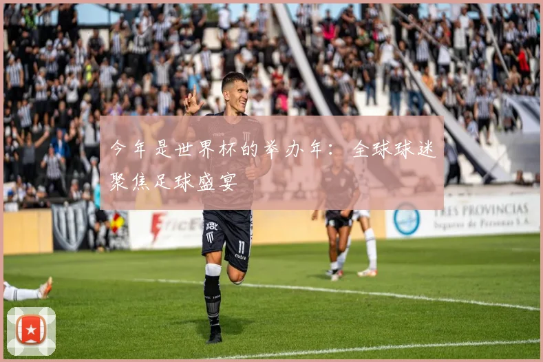 今年是世界杯的举办年：全球球迷聚焦足球盛宴