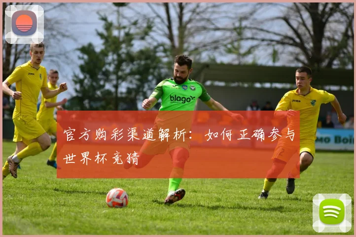 官方购彩渠道解析：如何正确参与世界杯竞猜